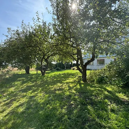 Feriehus Nature Retreat With Sea View Near On Samso