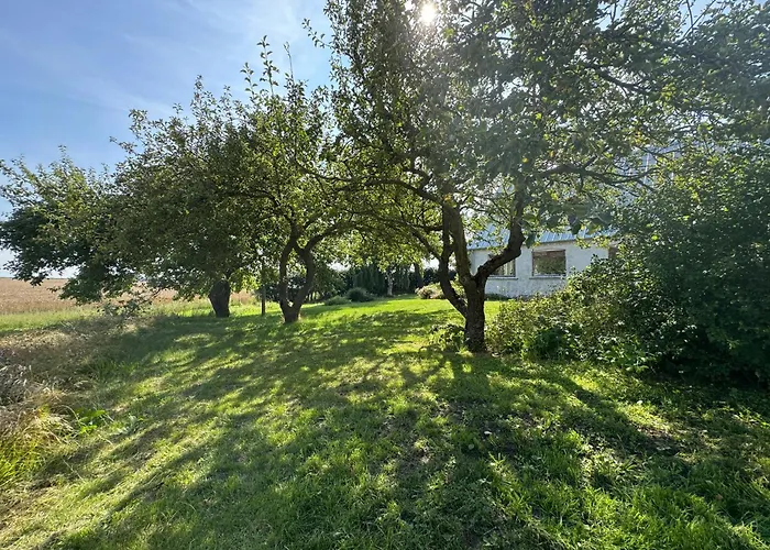 Ferienhaus Nature Retreat With Sea View Near On Samso